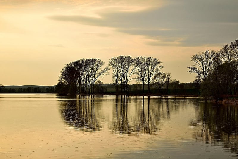 Mystical Ponds
