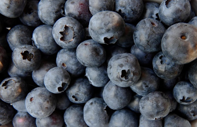 Starlight Berries