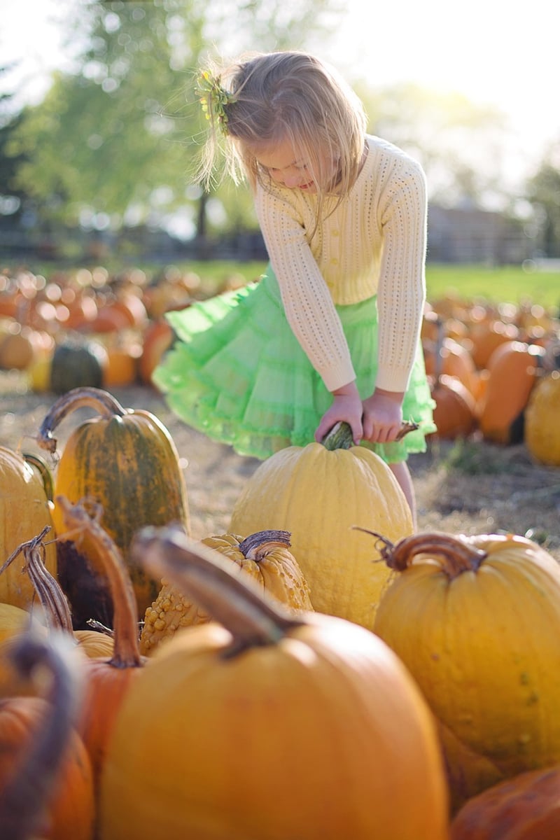 Fairy Tale Pumpkins