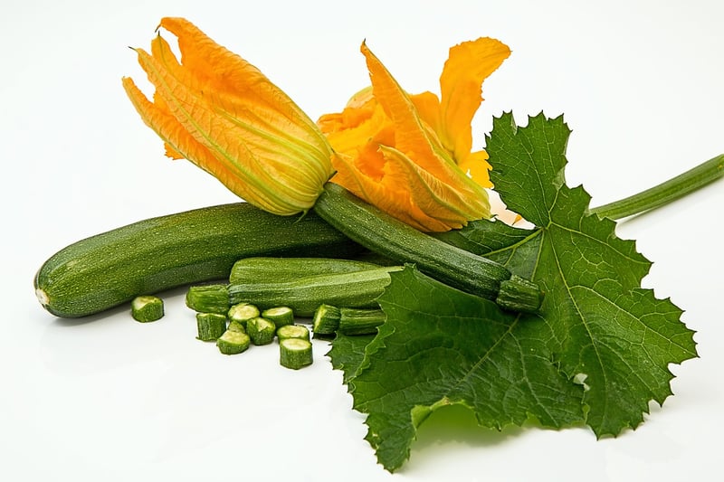 Sunburst Squash